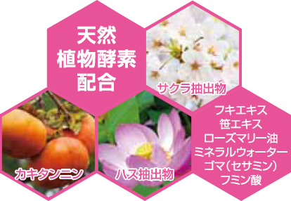 天然植物酵素配合